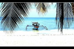 IMG_7942