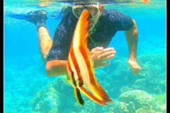 IMG_4425