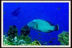 IMG_4741