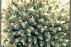 IMG_5013