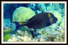 IMG_5353